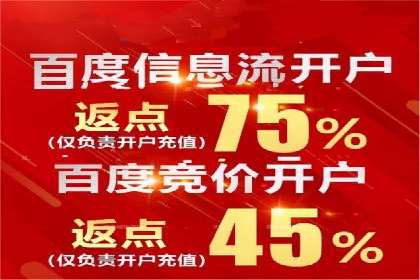 SEM优化策略：打造高效广告投放案例